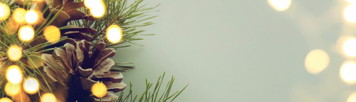 Header Kerststukjes workshop